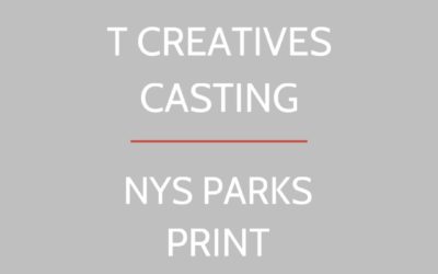 NYS PARKS: PRINT CASTING