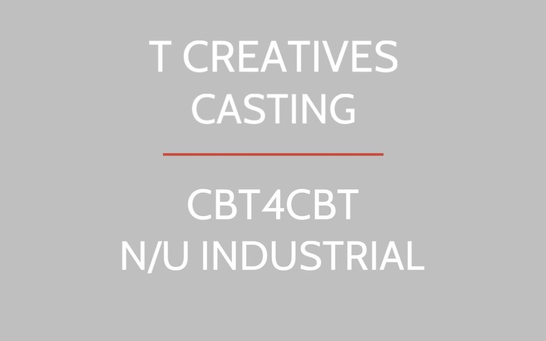 CBT4CBT industrial casting